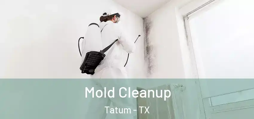  Mold Cleanup Tatum - TX