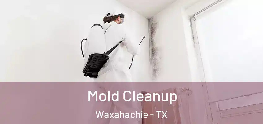  Mold Cleanup Waxahachie - TX