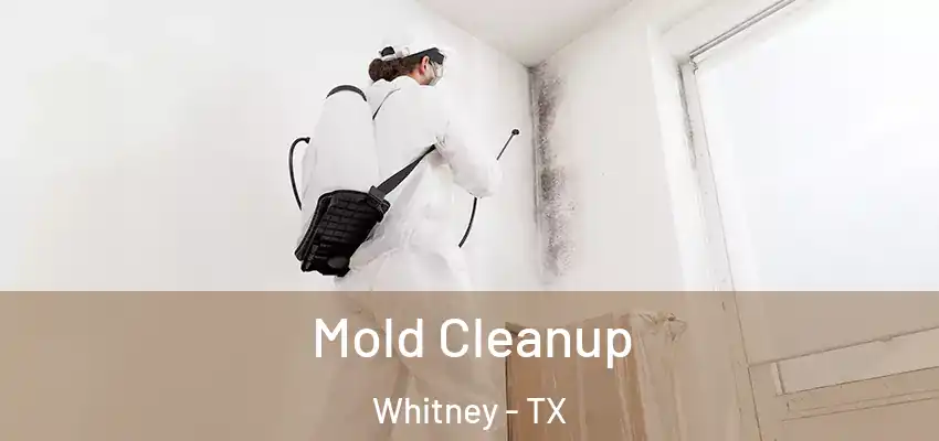  Mold Cleanup Whitney - TX