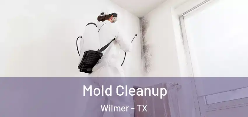 Mold Cleanup Wilmer - TX