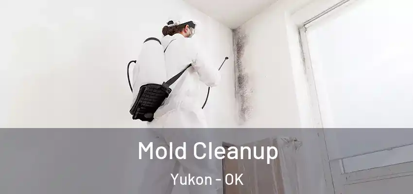 Mold Cleanup Yukon - OK