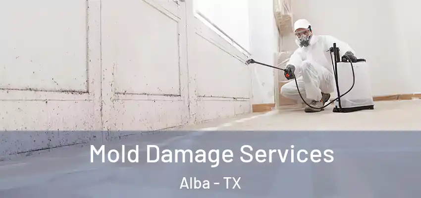 Mold Damage Services Alba - TX