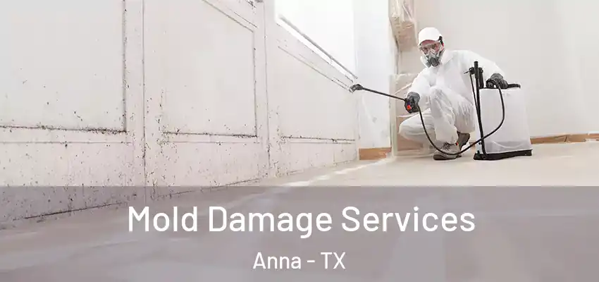  Mold Damage Services Anna - TX