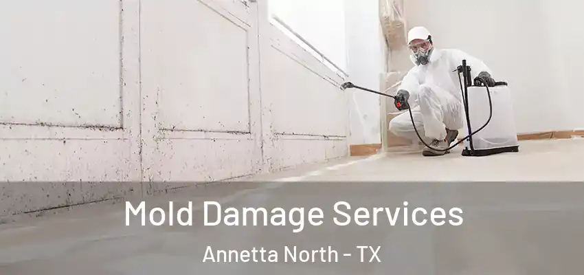Mold Damage Services Annetta North - TX