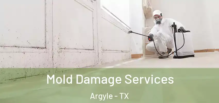 Mold Damage Services Argyle - TX