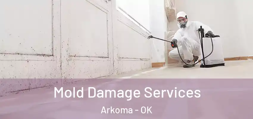  Mold Damage Services Arkoma - OK