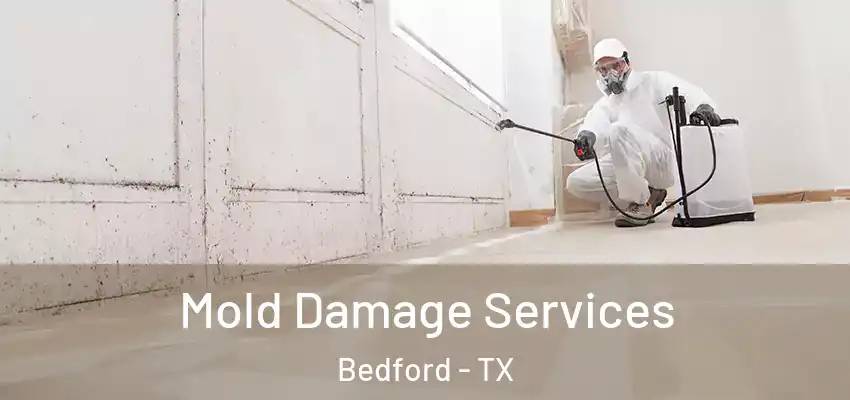 Mold Damage Services Bedford - TX