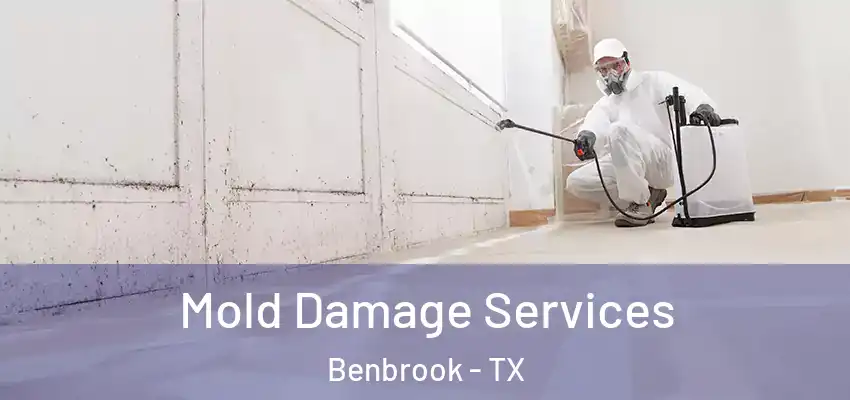  Mold Damage Services Benbrook - TX