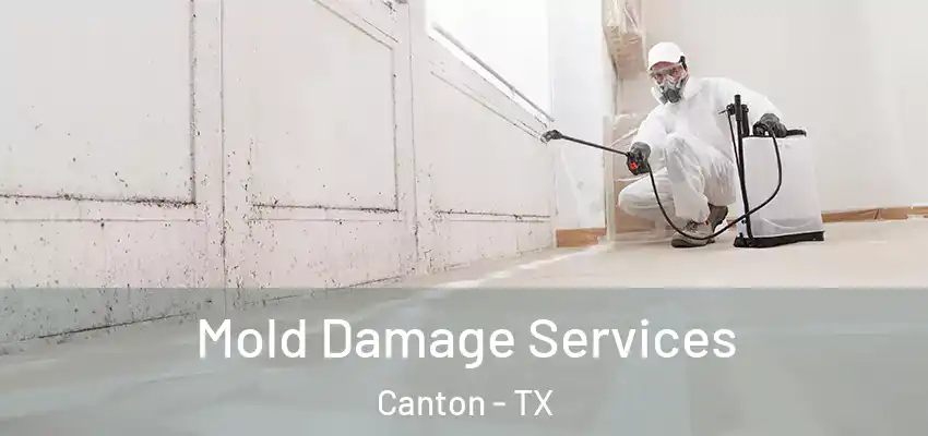  Mold Damage Services Canton - TX