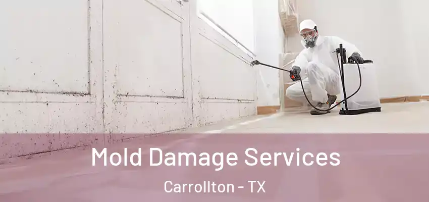Mold Damage Services Carrollton - TX