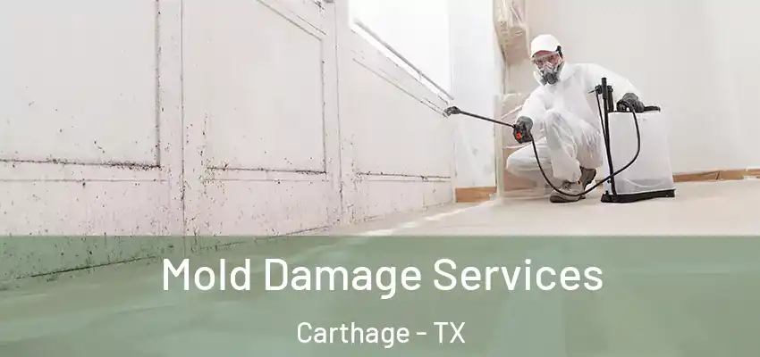 Mold Damage Services Carthage - TX