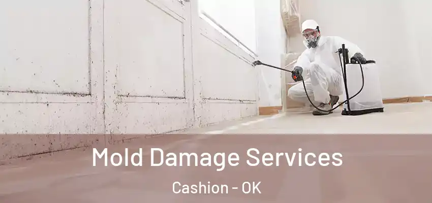  Mold Damage Services Cashion - OK