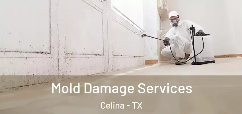 Mold Damage Services Celina - TX