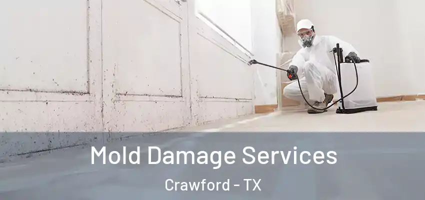 Mold Damage Services Crawford - TX