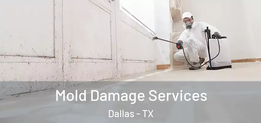 Mold Damage Services Dallas - TX