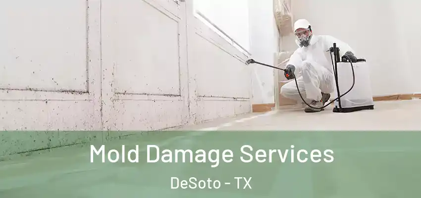 Mold Damage Services DeSoto - TX