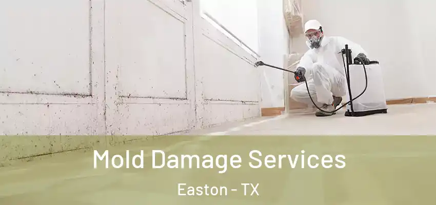 Mold Damage Services Easton - TX