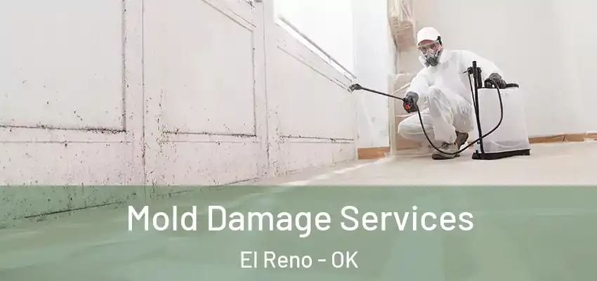 Mold Damage Services El Reno - OK