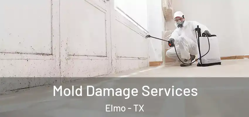 Mold Damage Services Elmo - TX