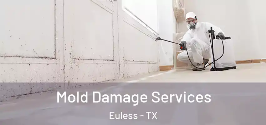 Mold Damage Services Euless - TX