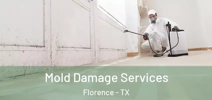 Mold Damage Services Florence - TX
