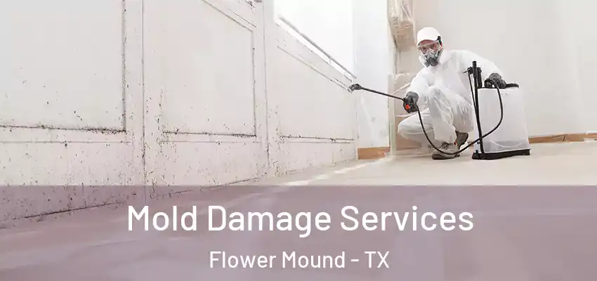 Mold Damage Services Flower Mound - TX