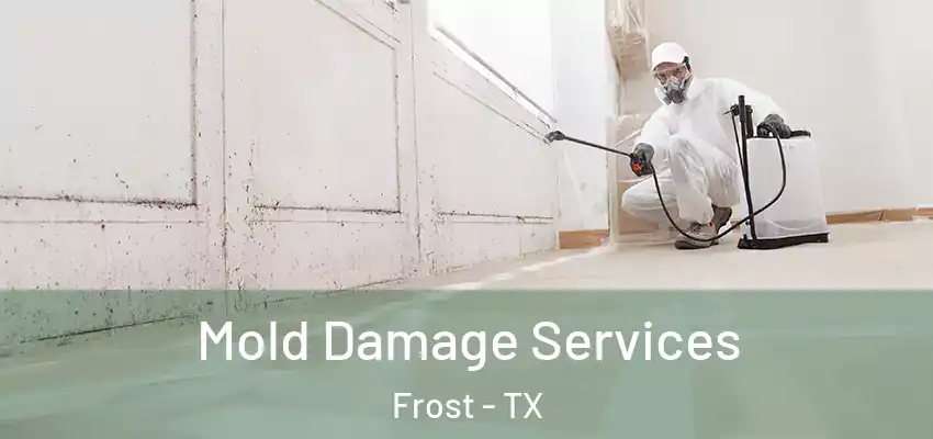Mold Damage Services Frost - TX
