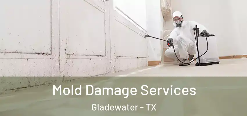 Mold Damage Services Gladewater - TX
