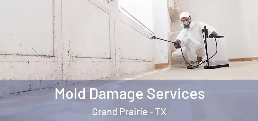 Mold Damage Services Grand Prairie - TX