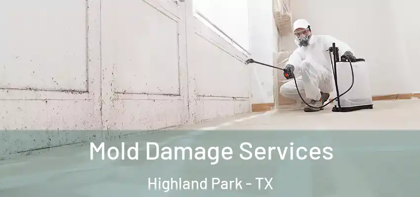 Mold Damage Services Highland Park - TX