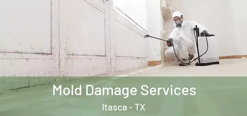 Mold Damage Services Itasca - TX