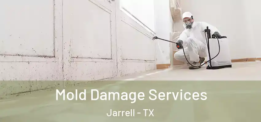 Mold Damage Services Jarrell - TX