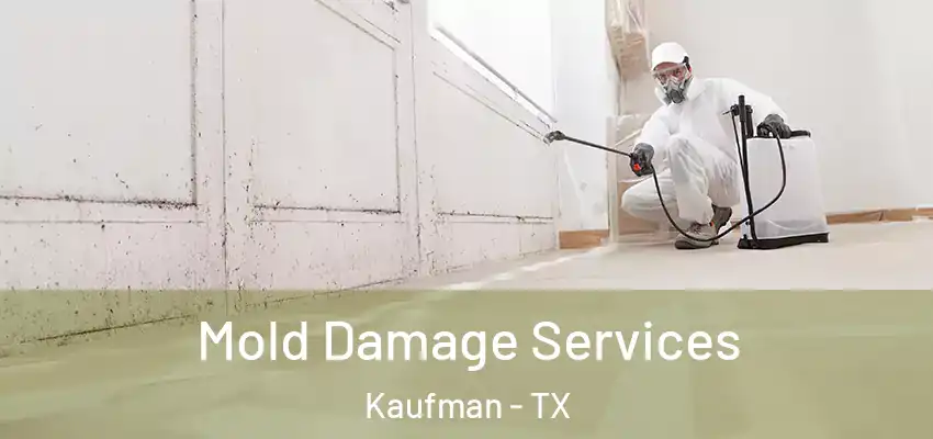  Mold Damage Services Kaufman - TX