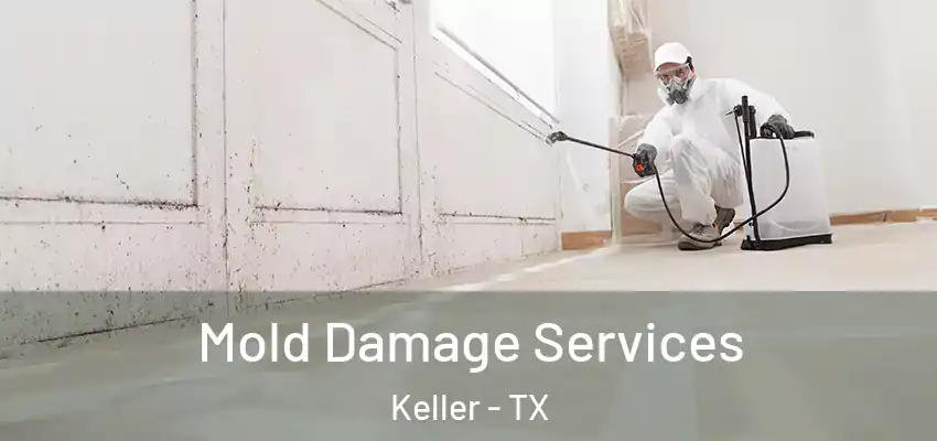 Mold Damage Services Keller - TX