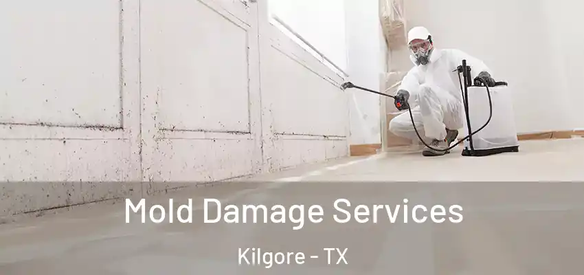 Mold Damage Services Kilgore - TX