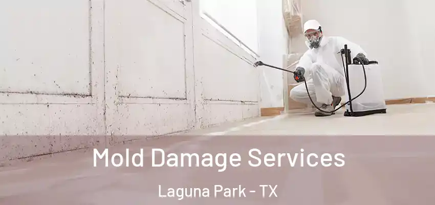 Mold Damage Services Laguna Park - TX