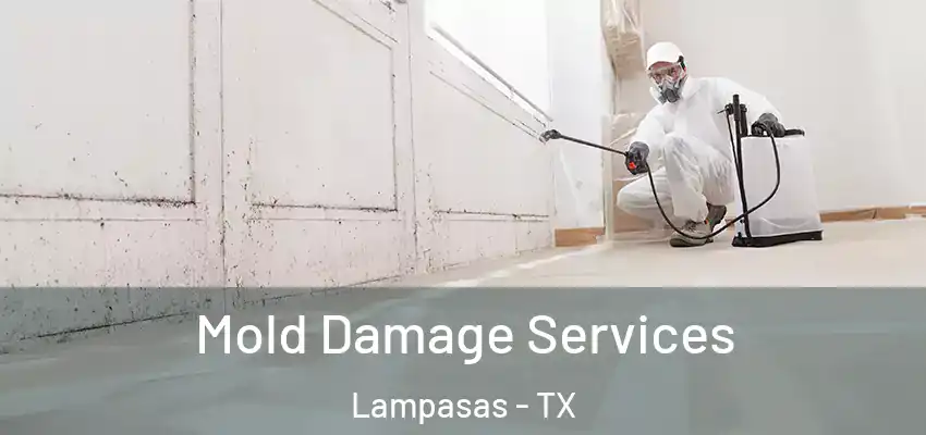 Mold Damage Services Lampasas - TX