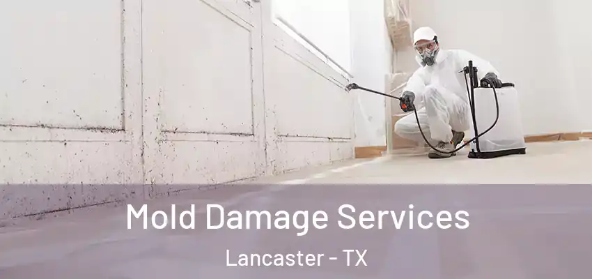 Mold Damage Services Lancaster - TX