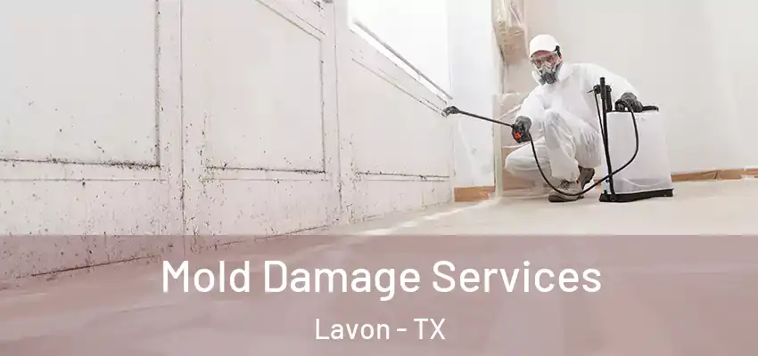 Mold Damage Services Lavon - TX