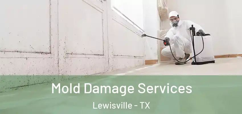  Mold Damage Services Lewisville - TX