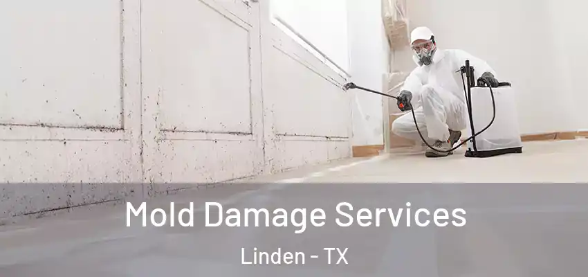  Mold Damage Services Linden - TX