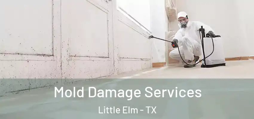 Mold Damage Services Little Elm - TX