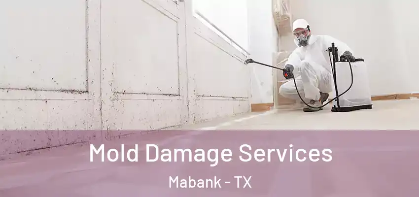Mold Damage Services Mabank - TX