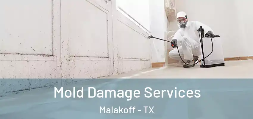 Mold Damage Services Malakoff - TX