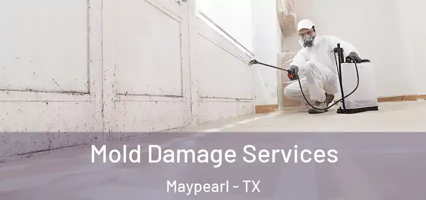 Mold Damage Services Maypearl - TX