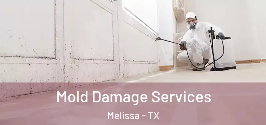 Mold Damage Services Melissa - TX