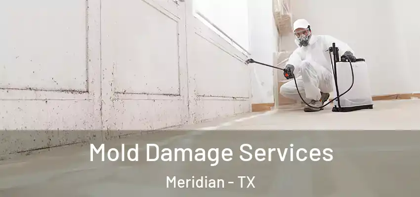 Mold Damage Services Meridian - TX