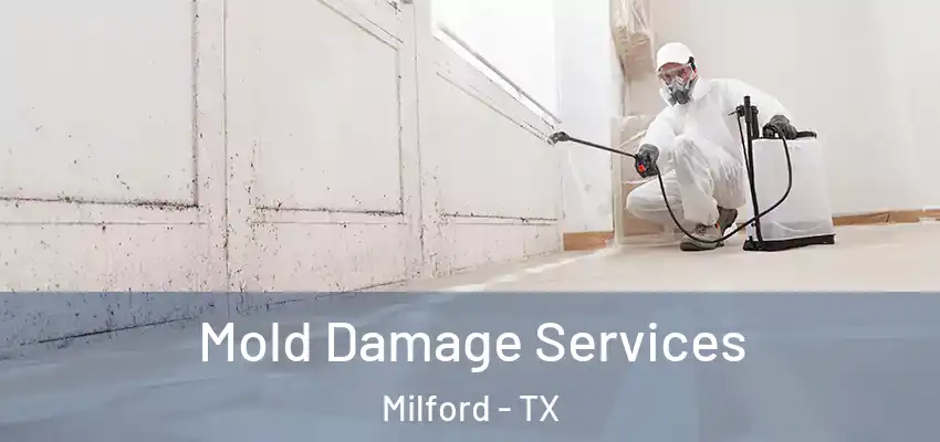  Mold Damage Services Milford - TX