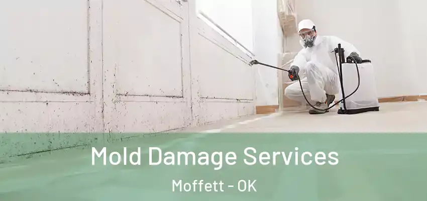  Mold Damage Services Moffett - OK