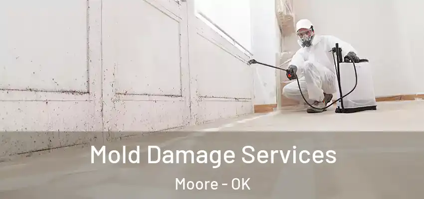 Mold Damage Services Moore - OK